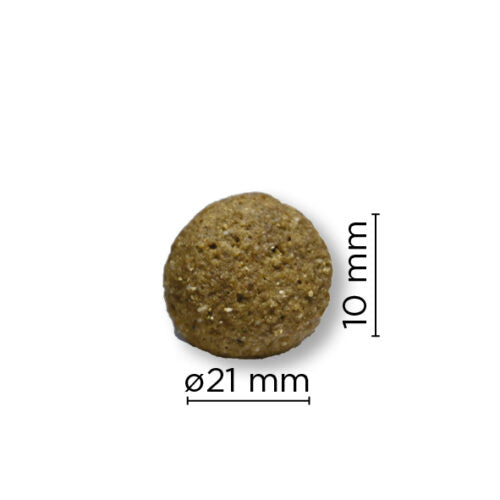 Arion Original Maintenance L 12 kg Kylling & Ris