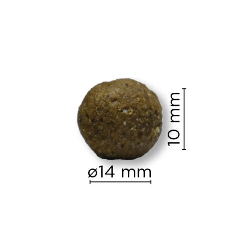 Arion Original Light All Breed 12 Kg
