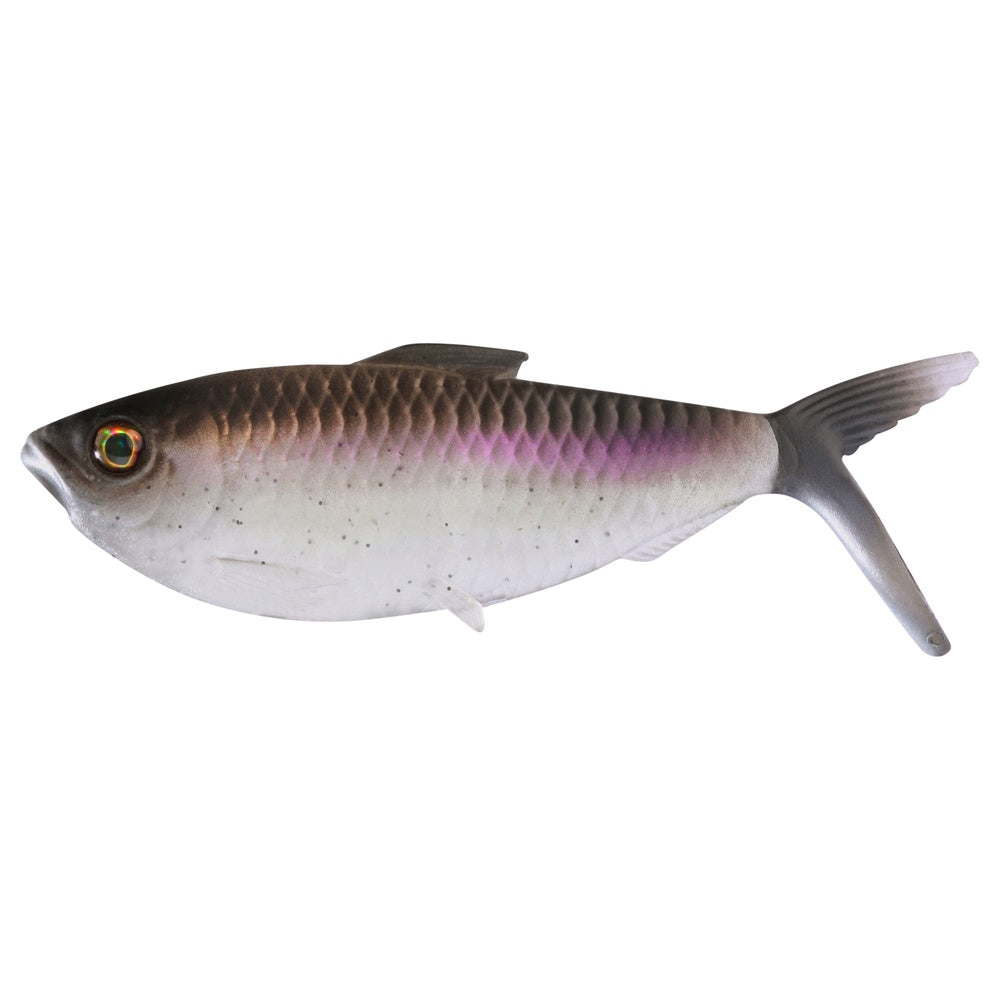 13 Fishing The Dine Swimbait