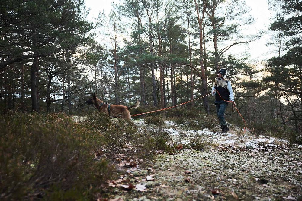 Non-stop Friction long line 10m