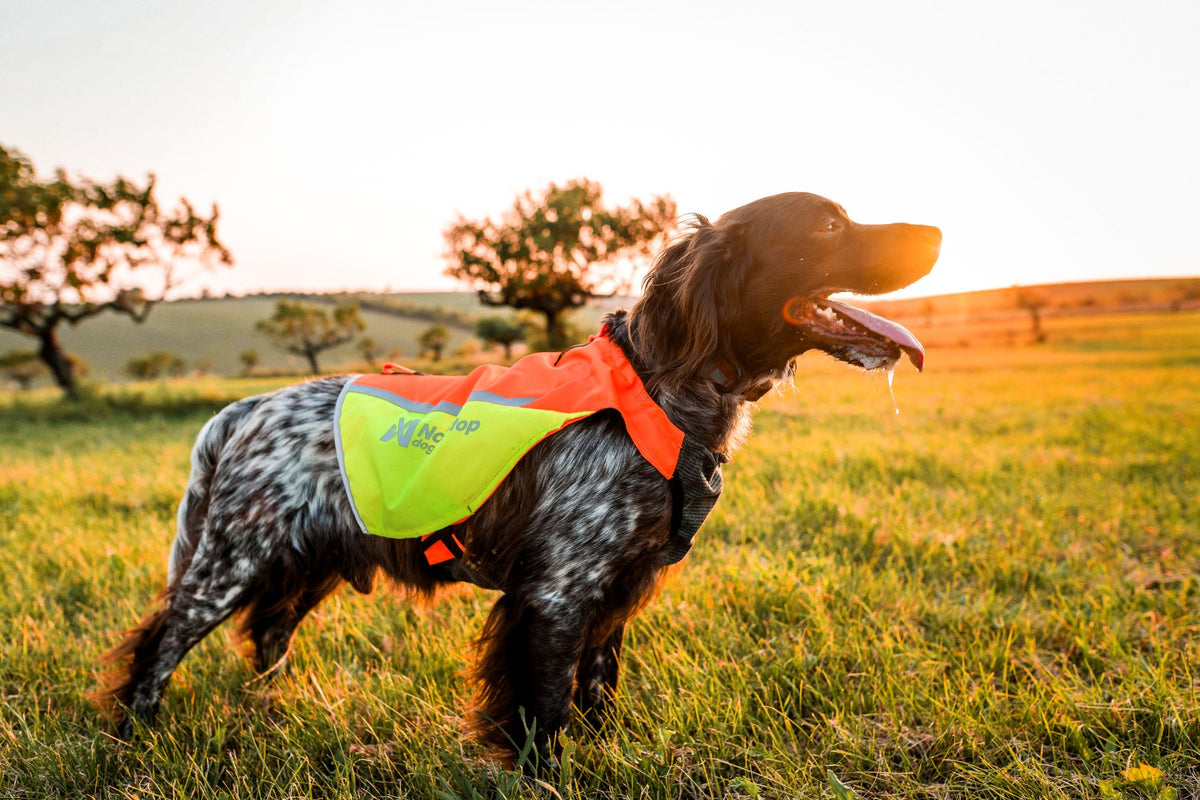 Protector vest 2.0