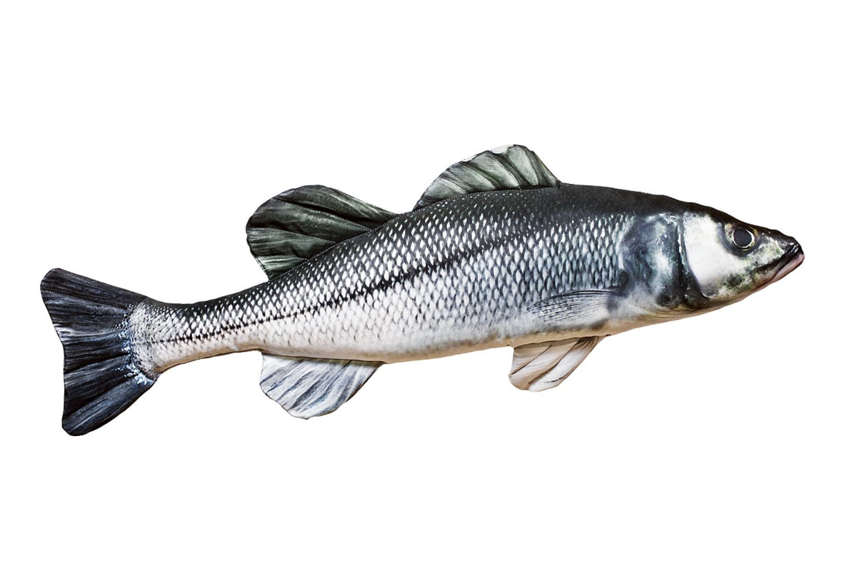 Havbrass_Fiskeri