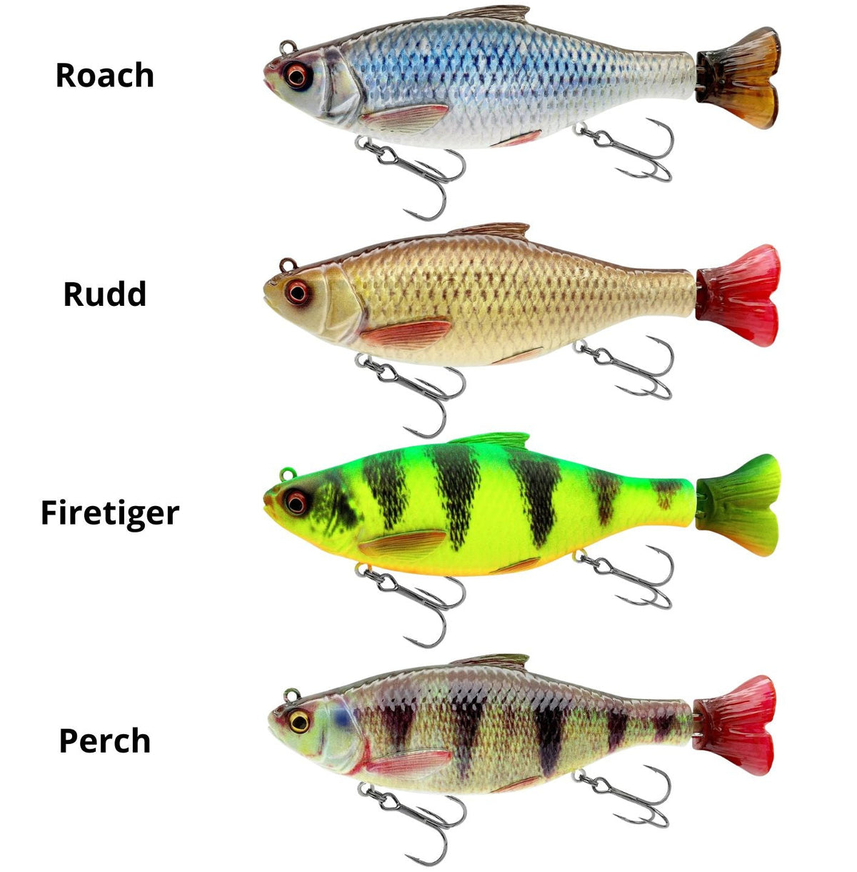 3D Hard Pulsetail Roach