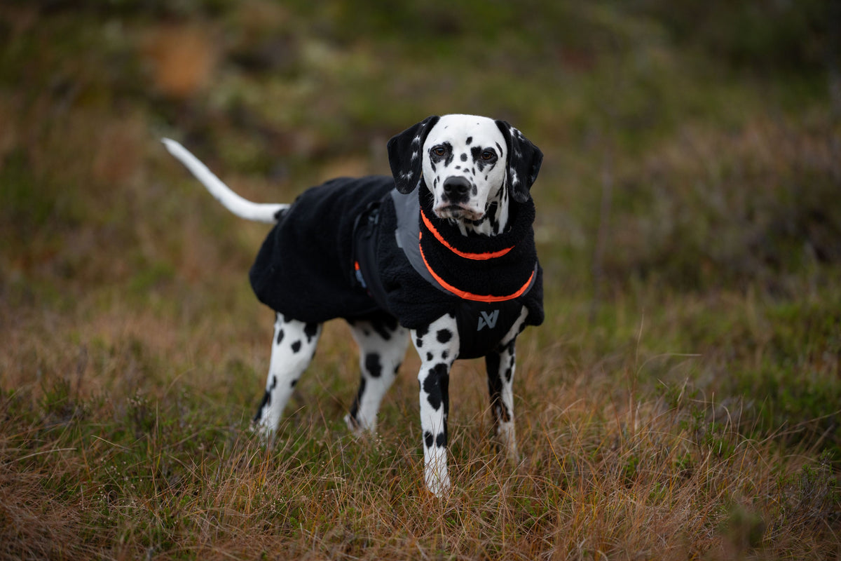 Trekking fleece jacket, black/orange