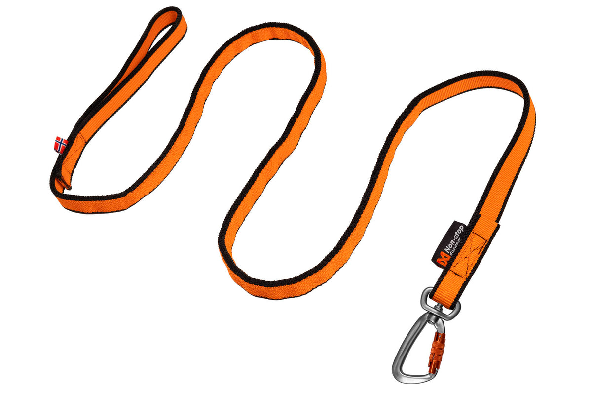 Non-Stop Bungee leash