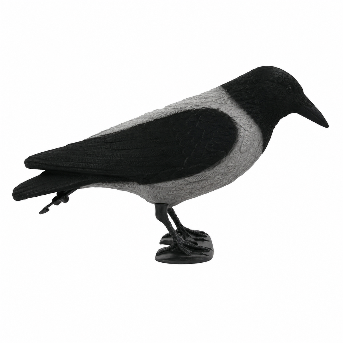 Lokkekrage Med Flock