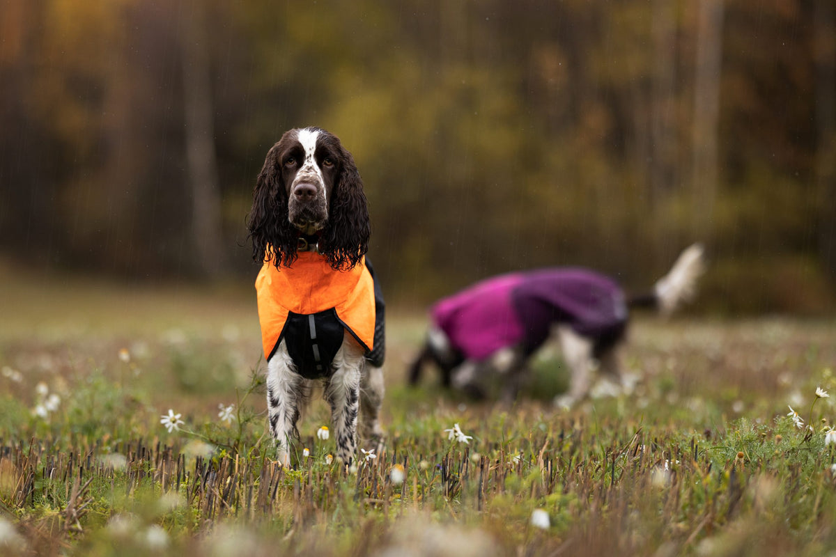 Non-Stop Fjord raincoat black/orange