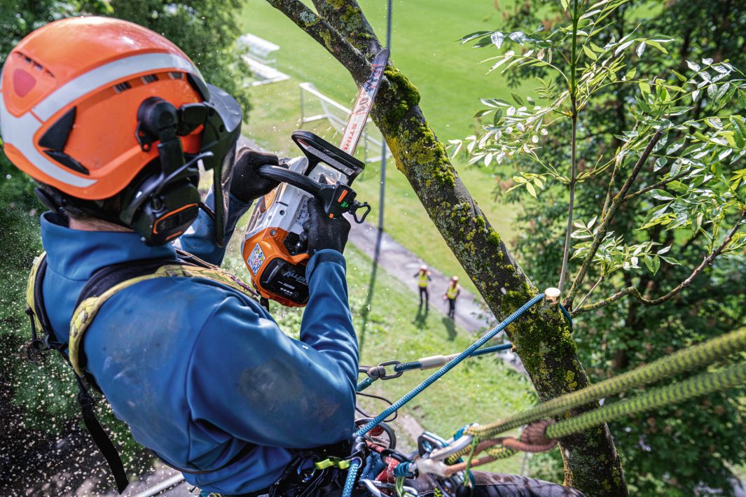 Stihl MSA 240.0 TC-O Kædesav