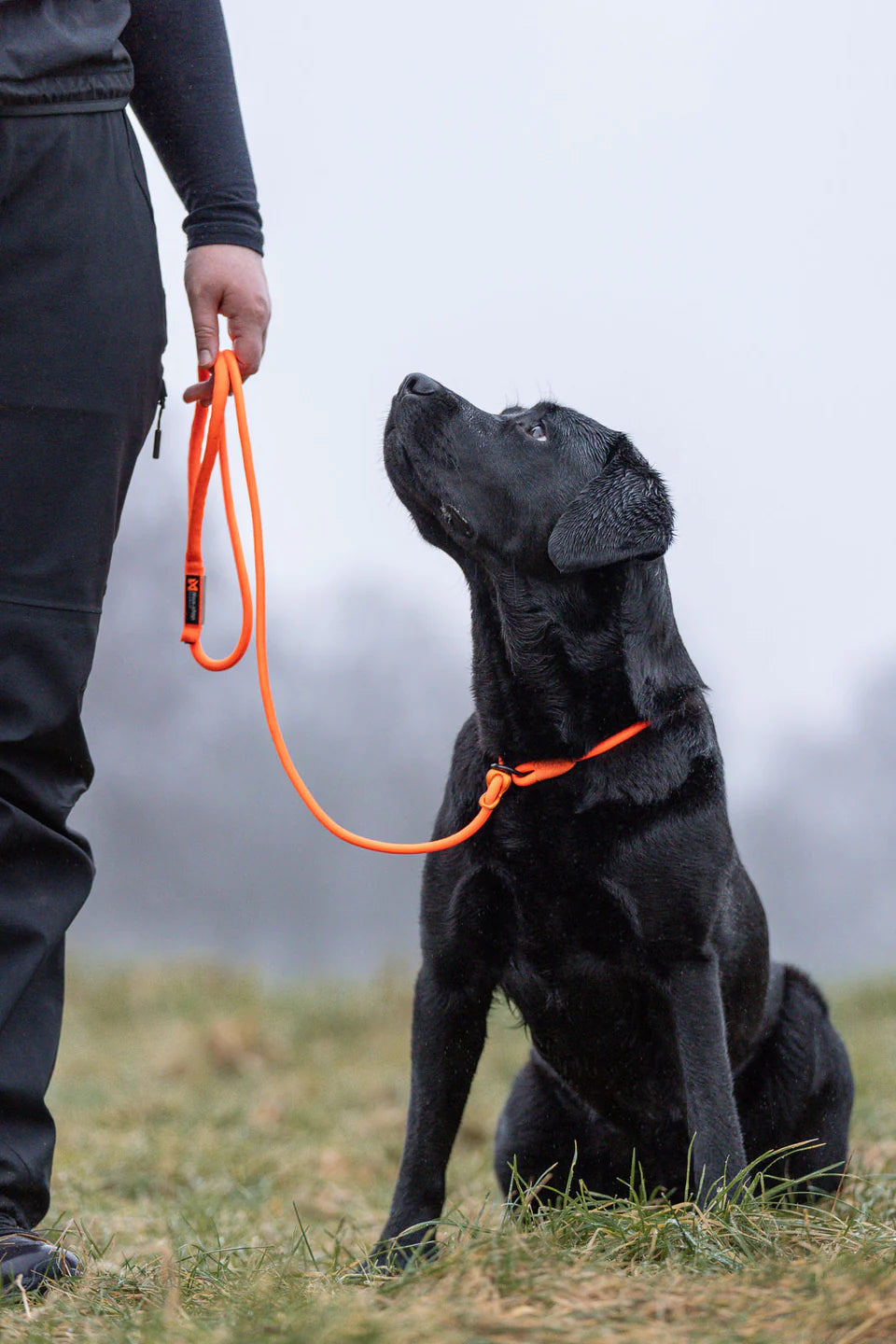 Non-stop Dogwear Retriever leash, orange, 1.6m/6mm