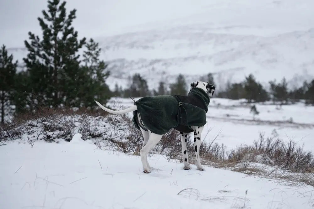 Non-stop Wool Dog Jacket