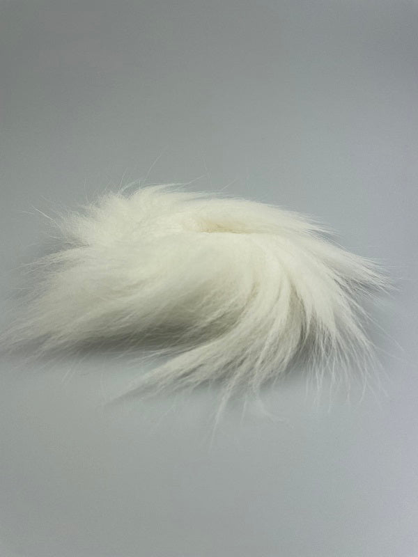 Polarræv Hale