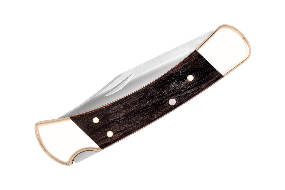 Buck Ranger 110 Foldekniv