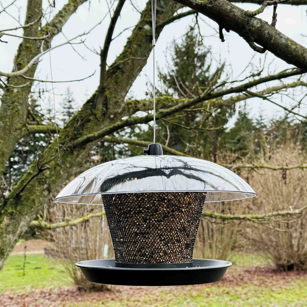 Ryom Foderautomat til Frøblanding DOME