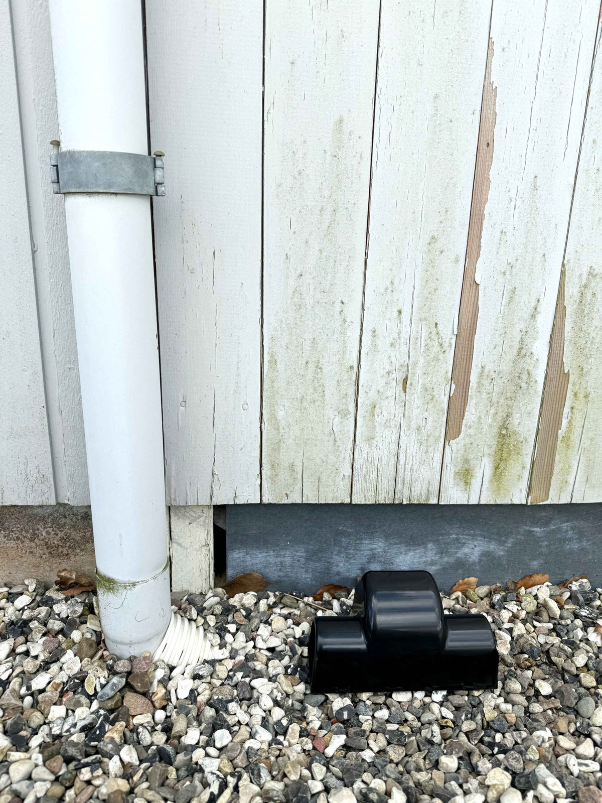 Ryom rottefælde Powersnap "safe"