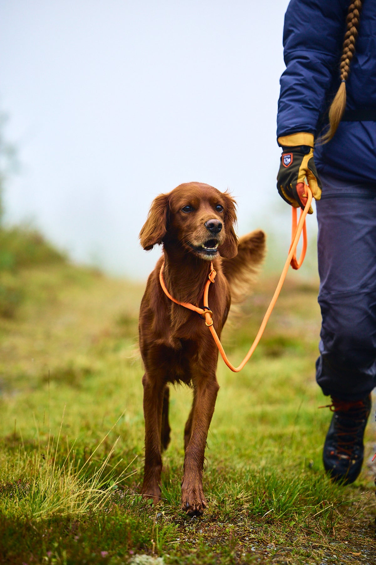 Non-Stop Retriever leash orange 1.6m/8mm