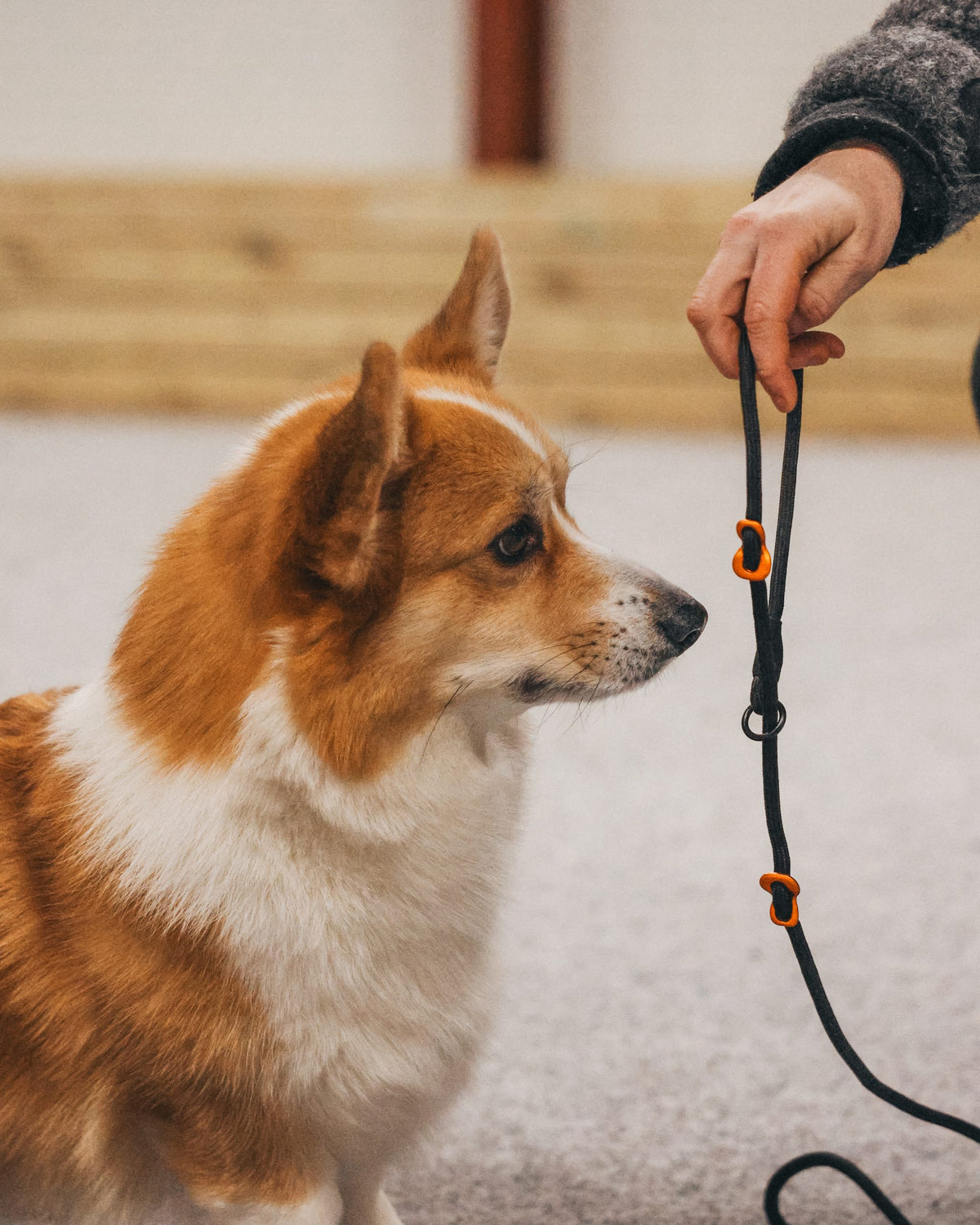 Non-Stop Retriever leash Black 1.6m/8mm
