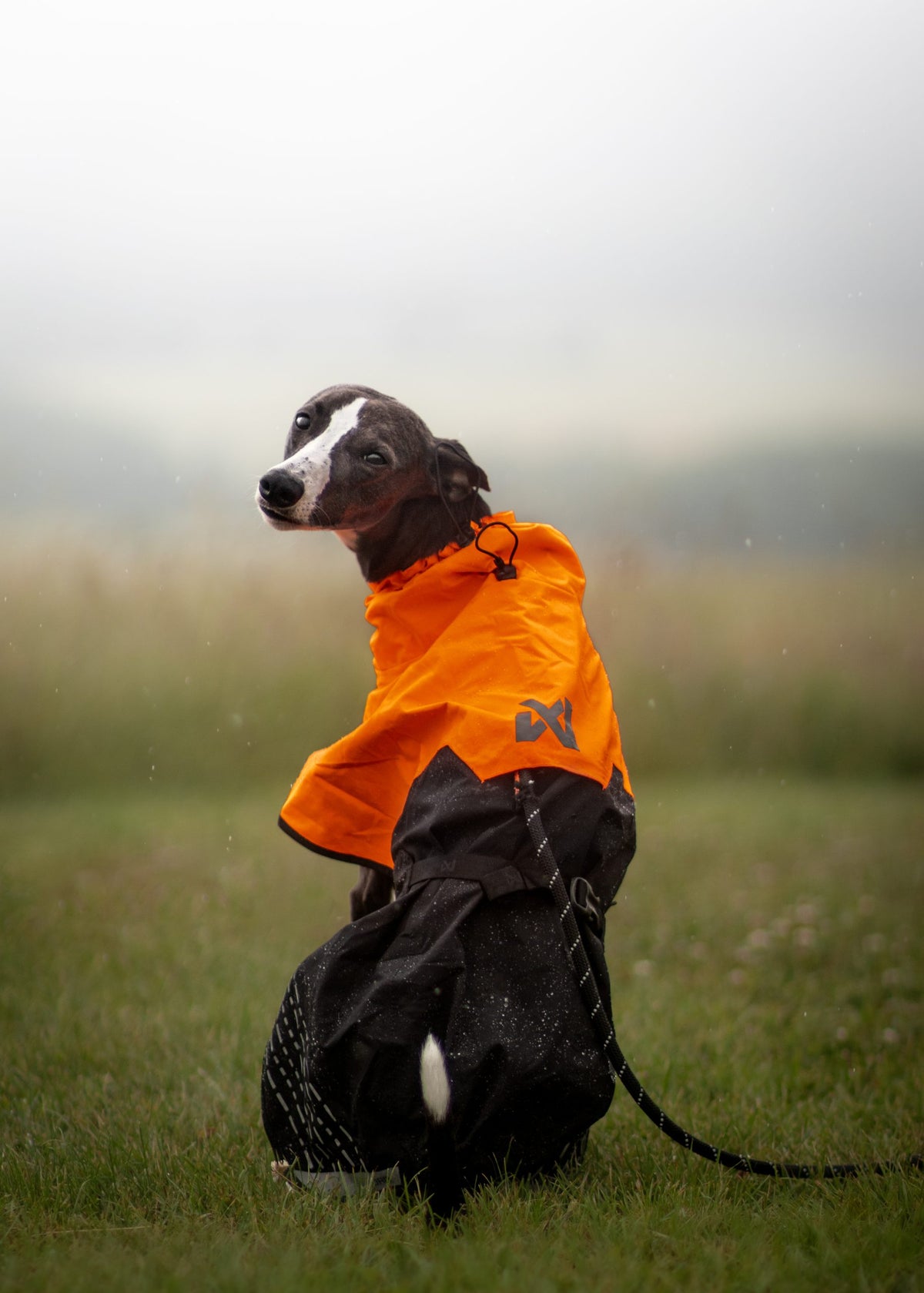 Non-Stop Fjord raincoat black/orange
