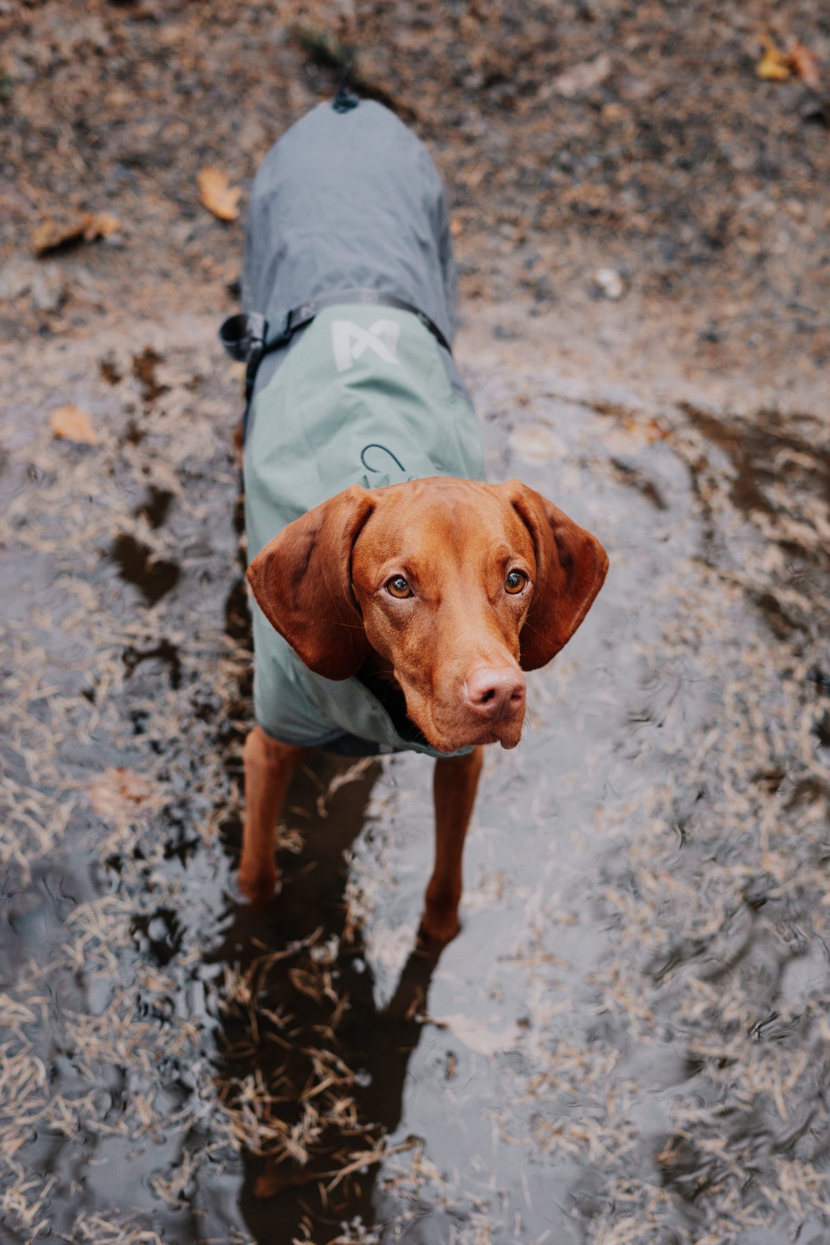 Non-Stop Fjord raincoat black/orange
