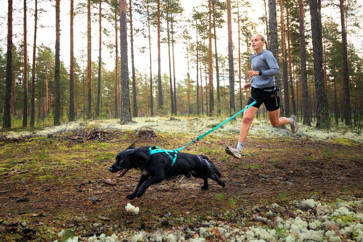 Bungee leash Aqua 2.0m/23mm
