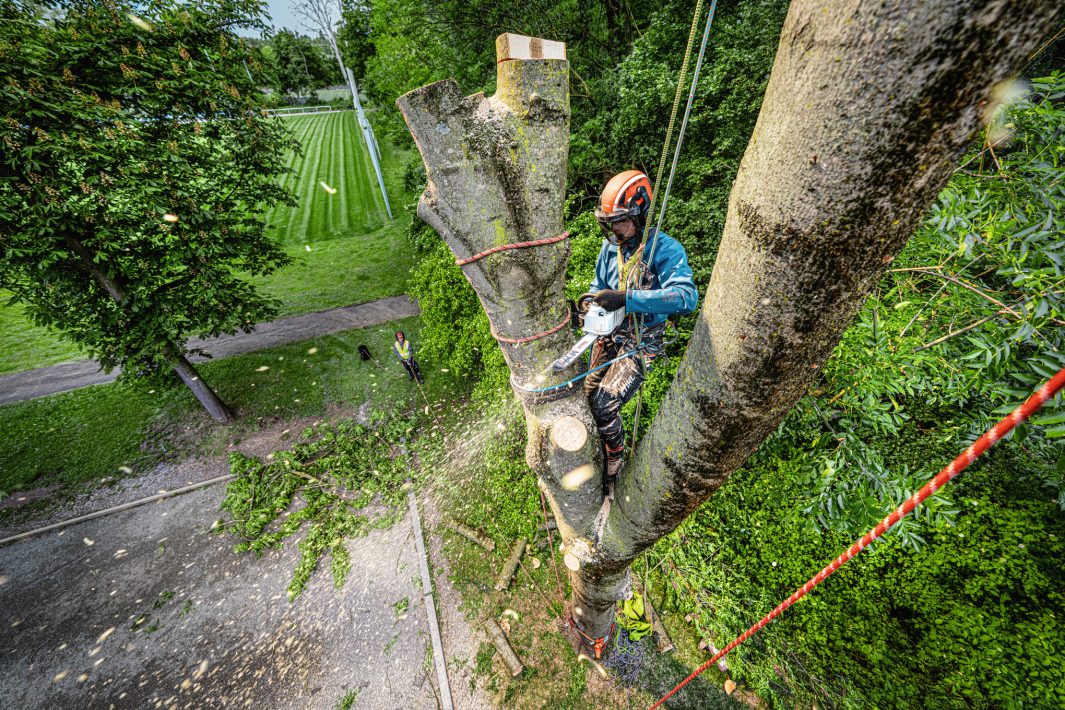 Stihl MSA 240.0 TC-O Kædesav