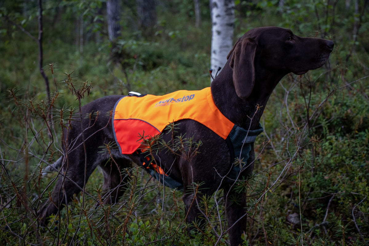 nonstopdogwear_b2b_Protector-Vest_hopi-non-stop2_1-scaled
