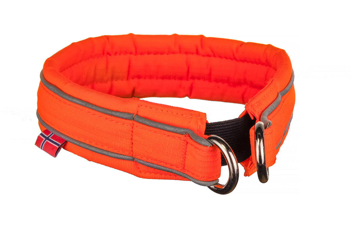 Non-stop Safe Collar Orange