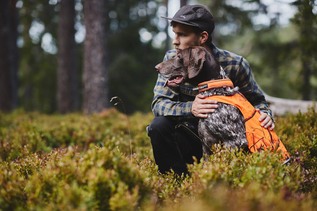 Non-stop Safe Collar Orange